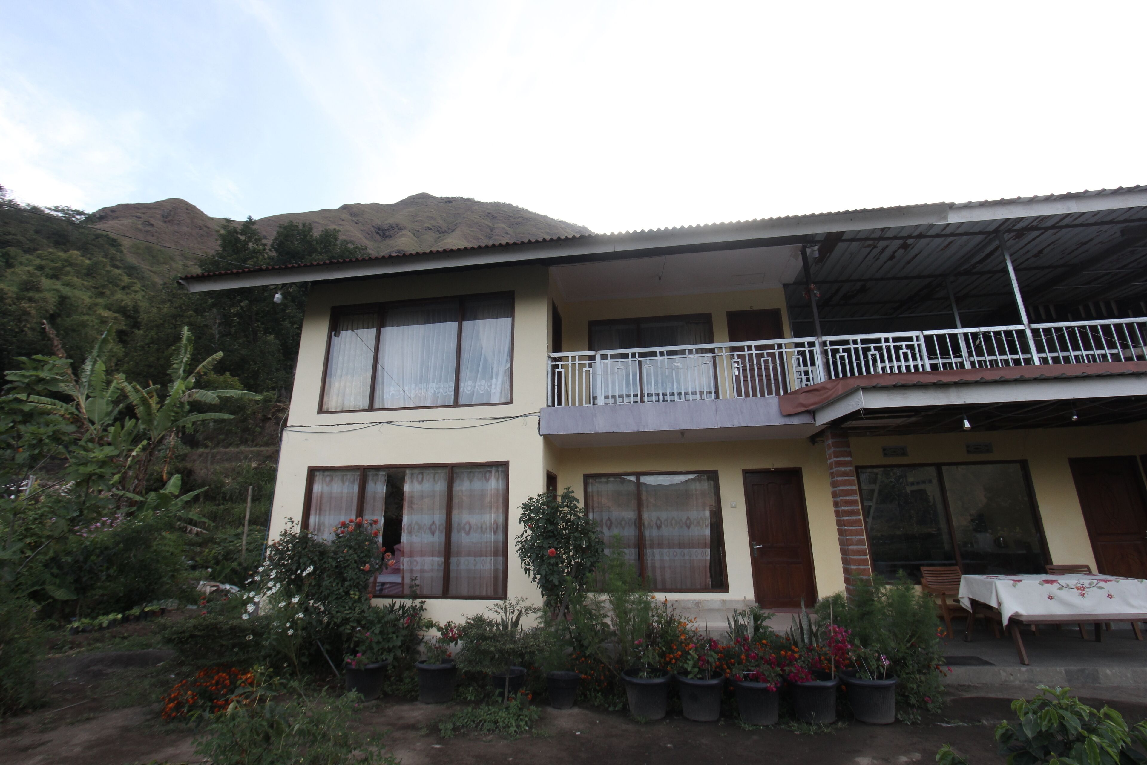 A two-story building with a balcony, surrounded by potted plants and flowers.