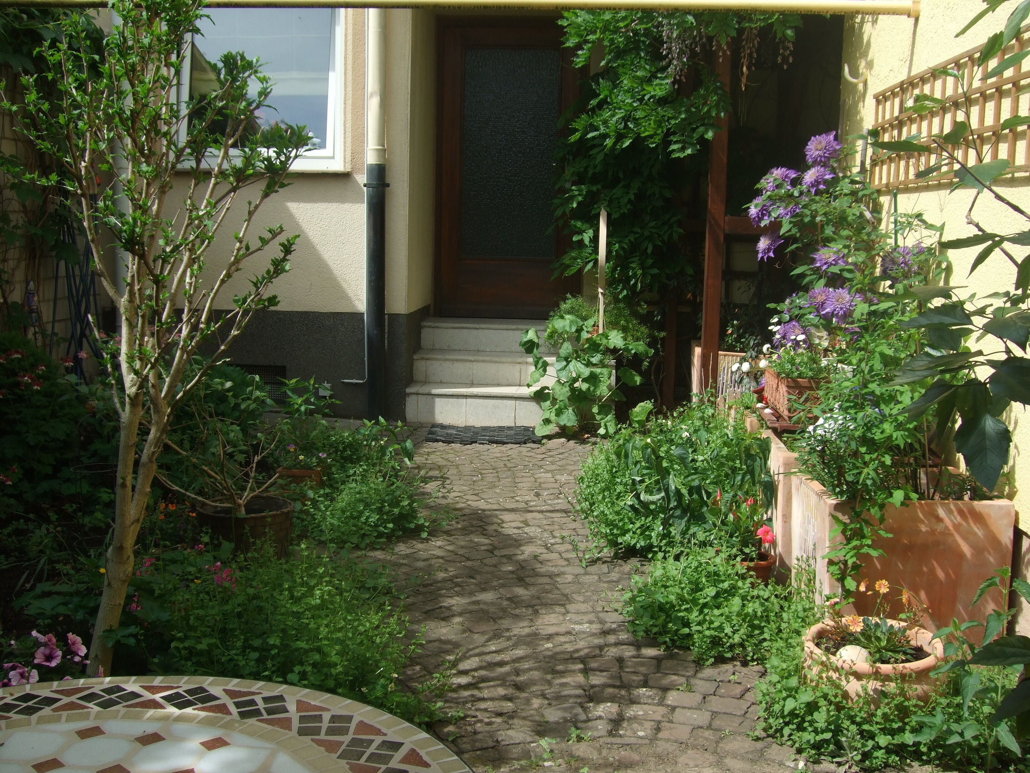 A paved pathway leading to a building entrance surrounded by lush greenery and potted plants.