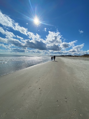 Ein Strand mit blauem Himmel, vereinzelten Wolken und Sonnenschein.