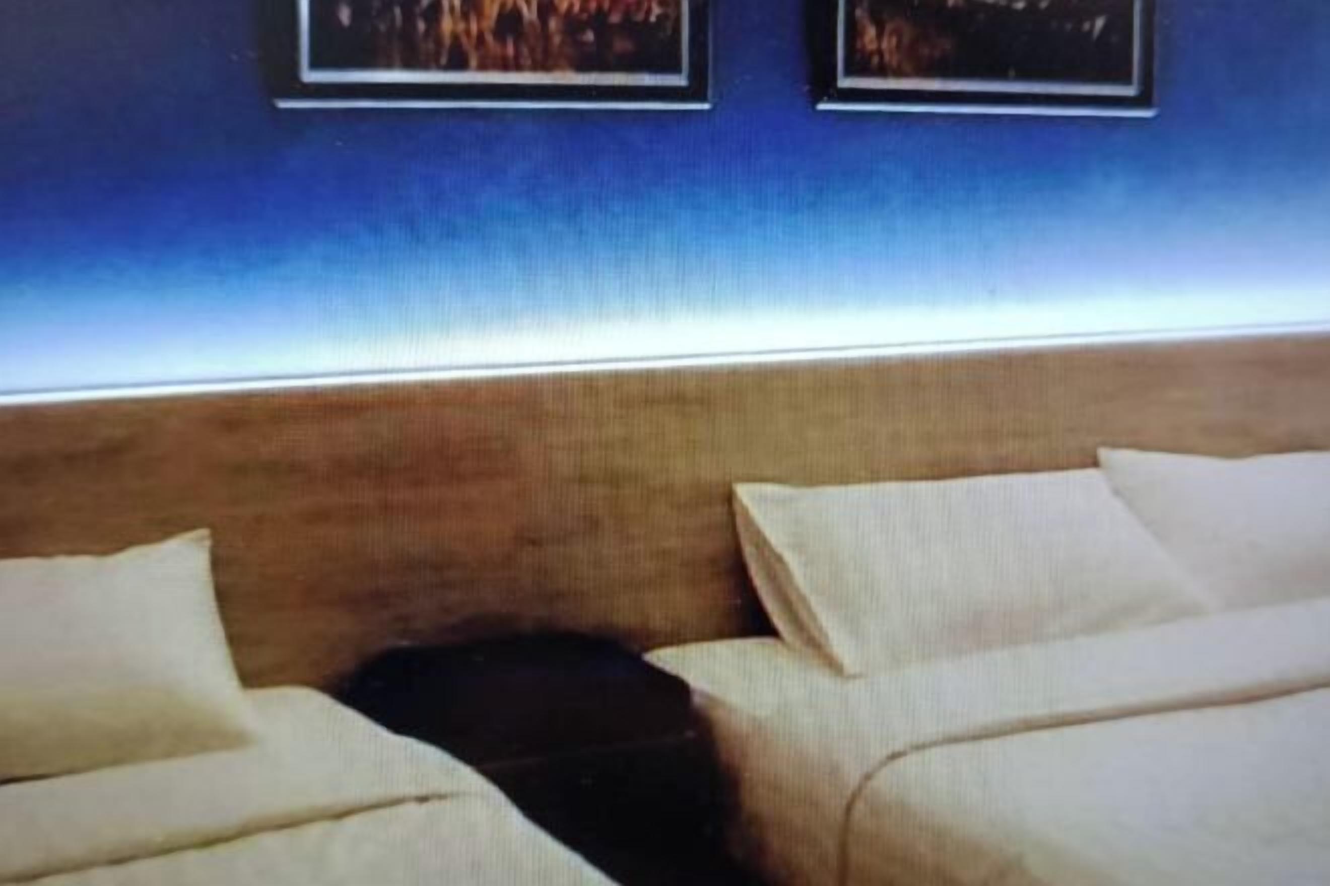 遮光窗帘、免费 WiFi、床单