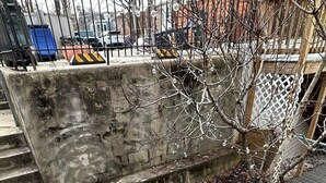 A concrete staircase leading to a rooftop area with a fire pit and a tree. - Meridian Row | Sleeps 7 | Off St Parking! (Washington)