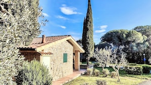 A stone building with a tiled roof, surrounded by olive trees and a tall cypress tree. - Residence con piscina a Guardistallo  (Guardistallo)