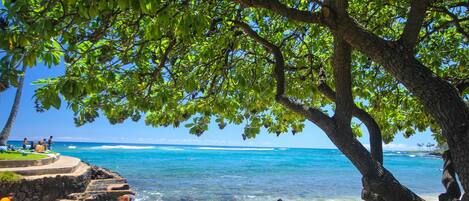 بالقرب من الشاطئ