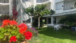 Ein Innenhof mit einem gepflegten Rasen, einem Baum und einem Blumentopf mit roten Blüten.