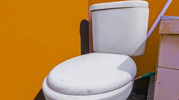 Habitación doble | Baño | Ducha y toallas