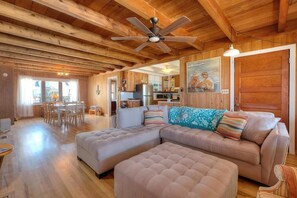 TV connectée, cheminée, lecteur de DVD, livres