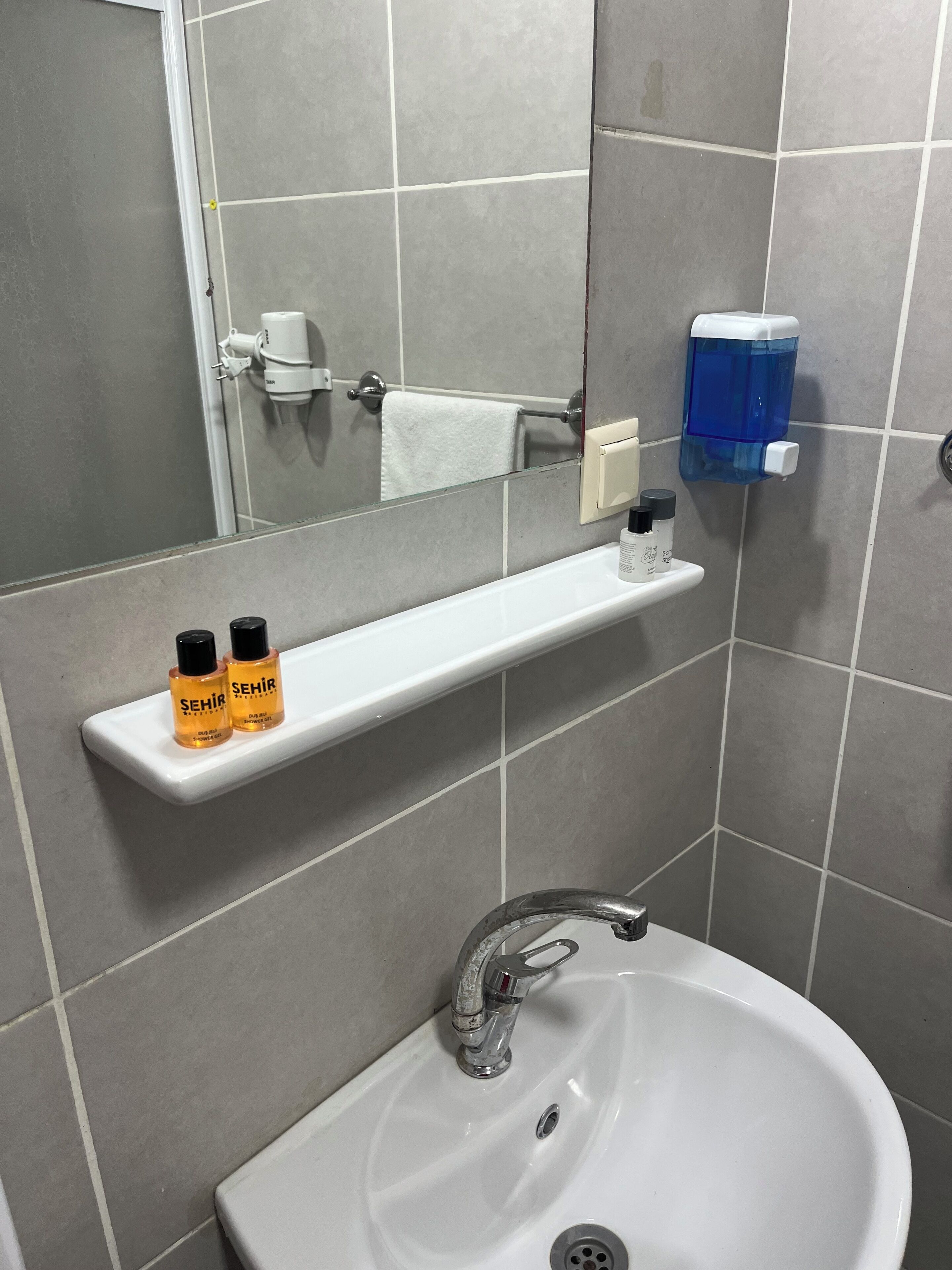 A bathroom with a white sink, a mirror, and a shelf with two bottles of Schwarzkopf hair products.