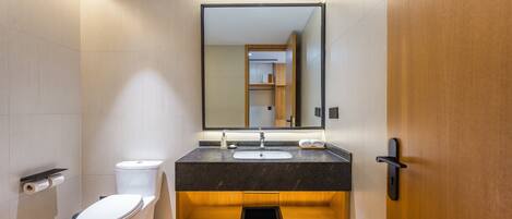 A modern bathroom with a toilet, sink, and mirror.