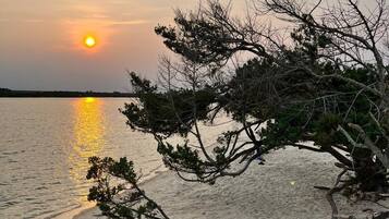 A beach scene with a sunset, sandy shore, and a tree in the foreground.