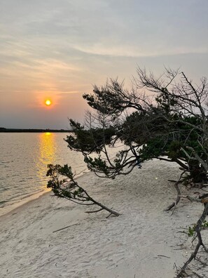 Beach - Sunshine between historic downtown and the beach! (St Augustine)