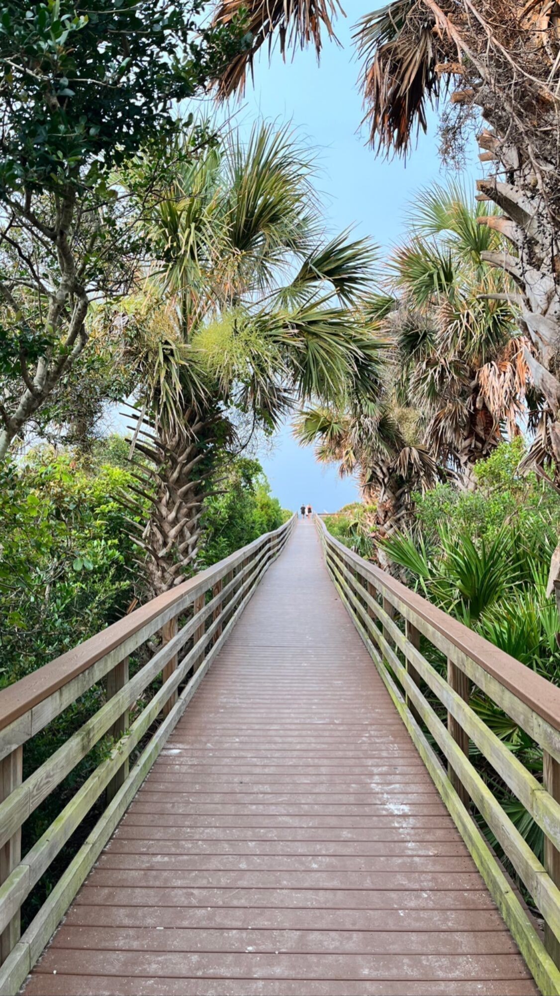 Photo 51 of Sunshine between historic downtown and the beach!