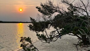 Une scène de plage avec un coucher de soleil, une plage de sable et un arbre au premier plan.
