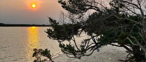 海滩