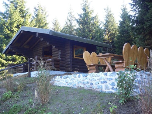 "Haus am Karpfenteich" 90 sqm and 70 with tiled stove for 2-10 pers.