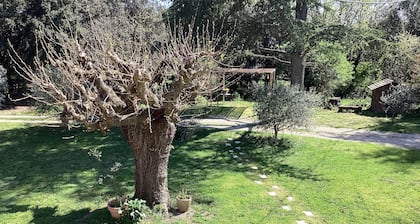 Le mas des Chênes en Provence