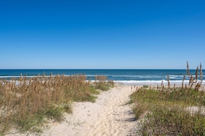 A sandy beach path leading to the ocean with tall grasses on either side.