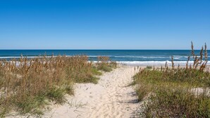 A sandy beach path leading to the ocean with tall grasses on either side. - Sandy Too-Oceanfront, pool, hot tub, private walkway with gazebo,amazing ocean views! (Nags Head)