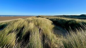 Een kustlandschap met duinen en een strand.