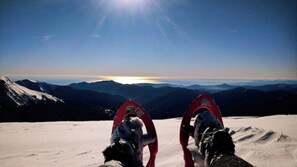 Snow and ski sports - La Cabane de Marie (La Bollène vésubie)