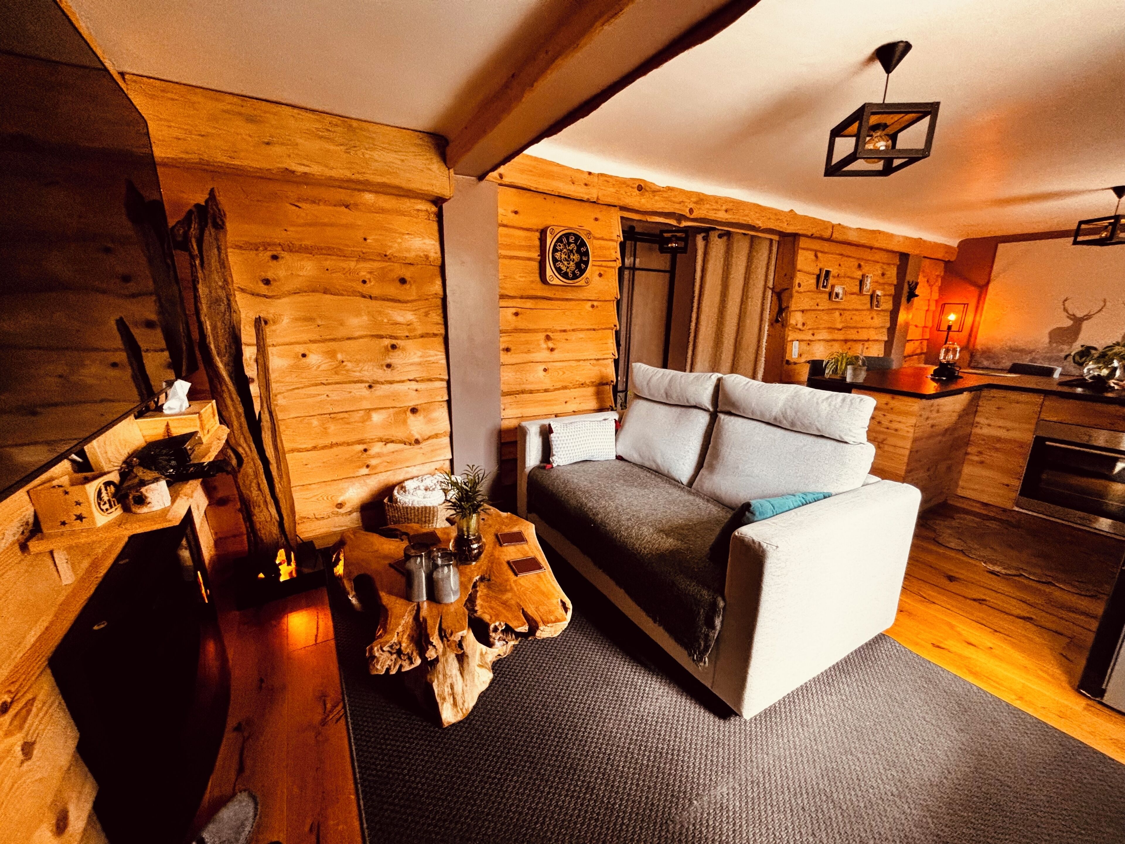 電視、壁爐、書籍