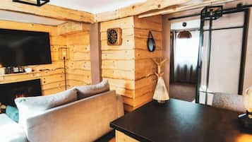 Televisión, chimenea y libros