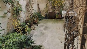 Une cour étroite, dotée d’un sol en béton, entourée de murs sur lesquels poussent quelques plantes.