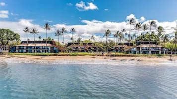 Condo, 1 Bedroom | Beach | On the beach