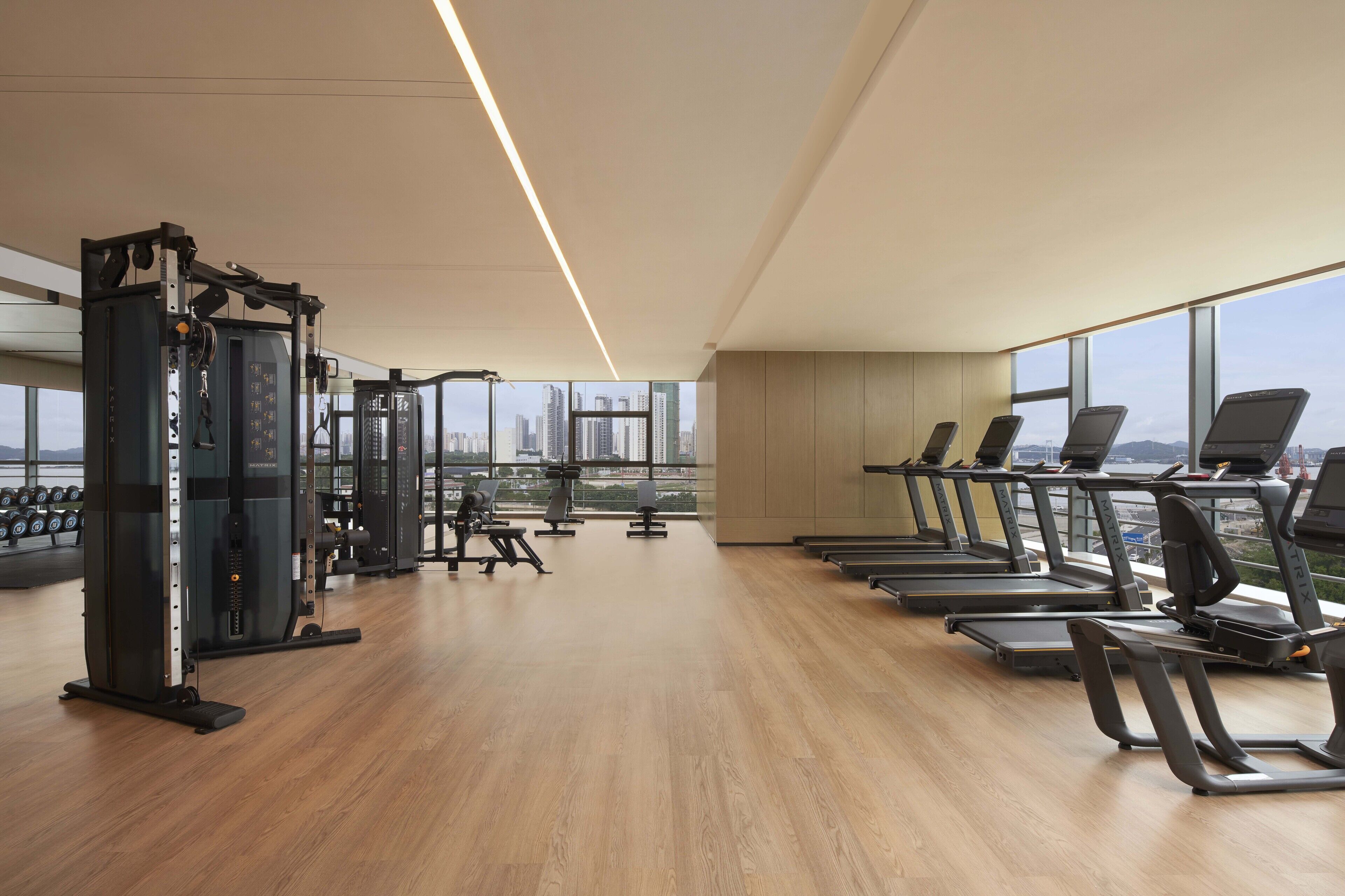 Un gimnasio con equipo cardiovascular, máquinas de pesas y mancuernas.