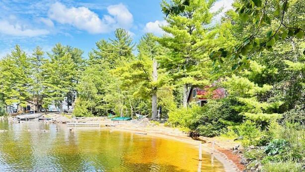 A tranquil pond surrounded by lush greenery and trees, with a clear sky above. - Beautiful and private lakefront home on the sandy shores of South Twin Lake (Indian Purchase Township)