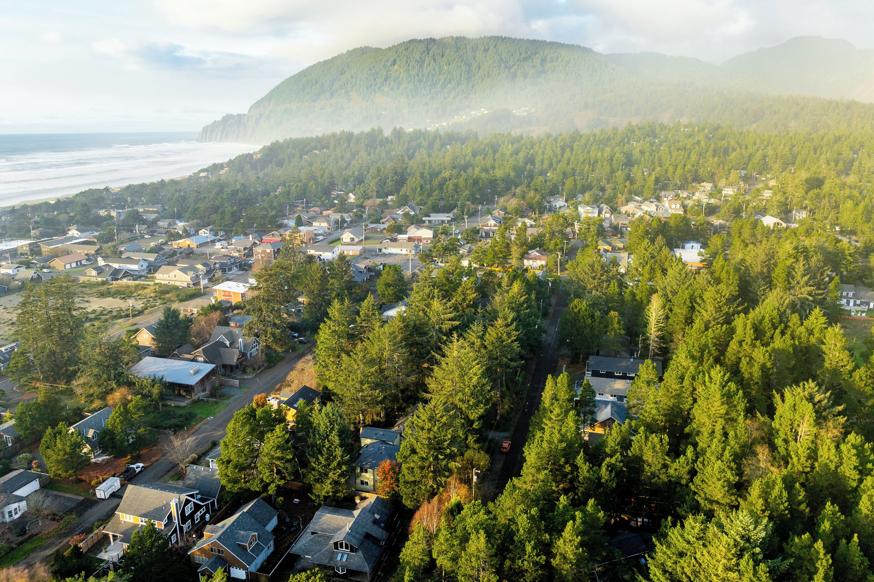 An aerial view of a residential area with houses surrounded by dense forests, a coastline in the background, and a mountain range.