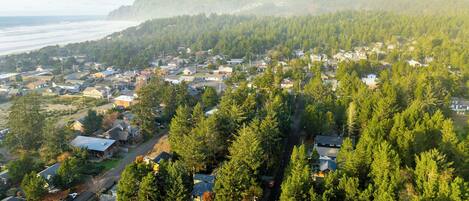 An aerial view of a residential area with houses surrounded by dense forests, a coastline in the background, and a mountain range.