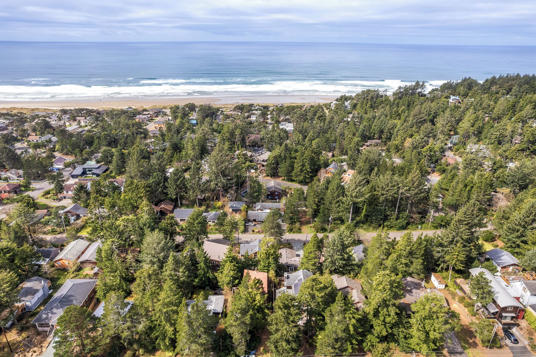 Vista aèria d'una zona residencial amb cases envoltades per un bosc dens, una platja i l'oceà al fons.