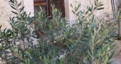 Liakoto - One-Bedroom House