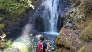 Une cascade dans une zone boisée, avec une personne et un chien à proximité.