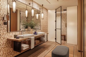 Combined shower/tub, hair dryer, bathrobes, electronic bidet