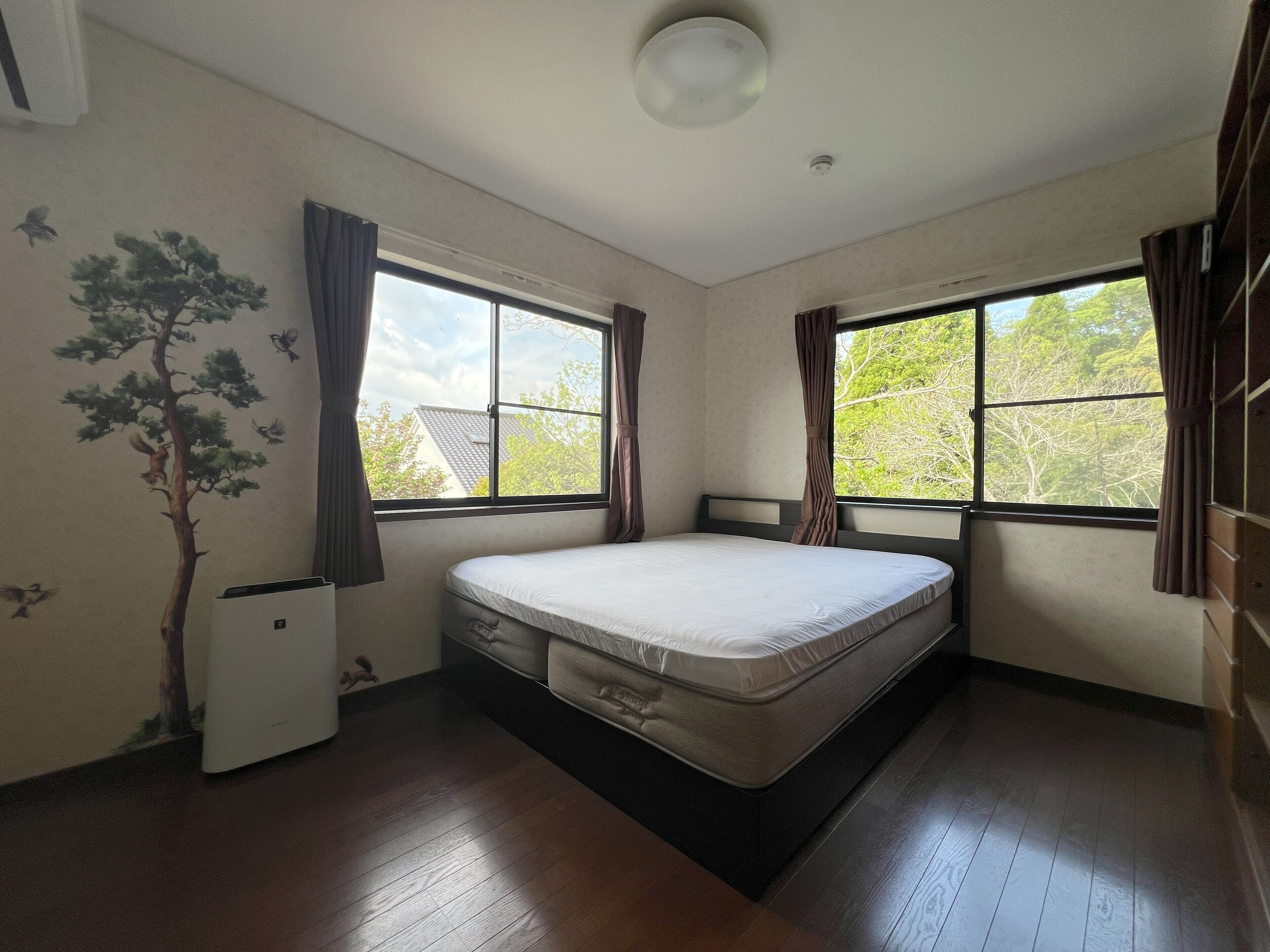 A room with a bed, two windows, a ceiling light, and a wall-mounted air conditioner.
