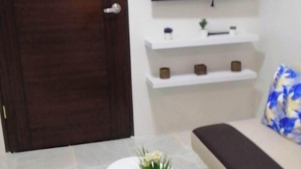 Un salon avec un canapé, une table basse ornée d’une plante, un téléviseur posé sur une étagère blanche et un tapis vert.