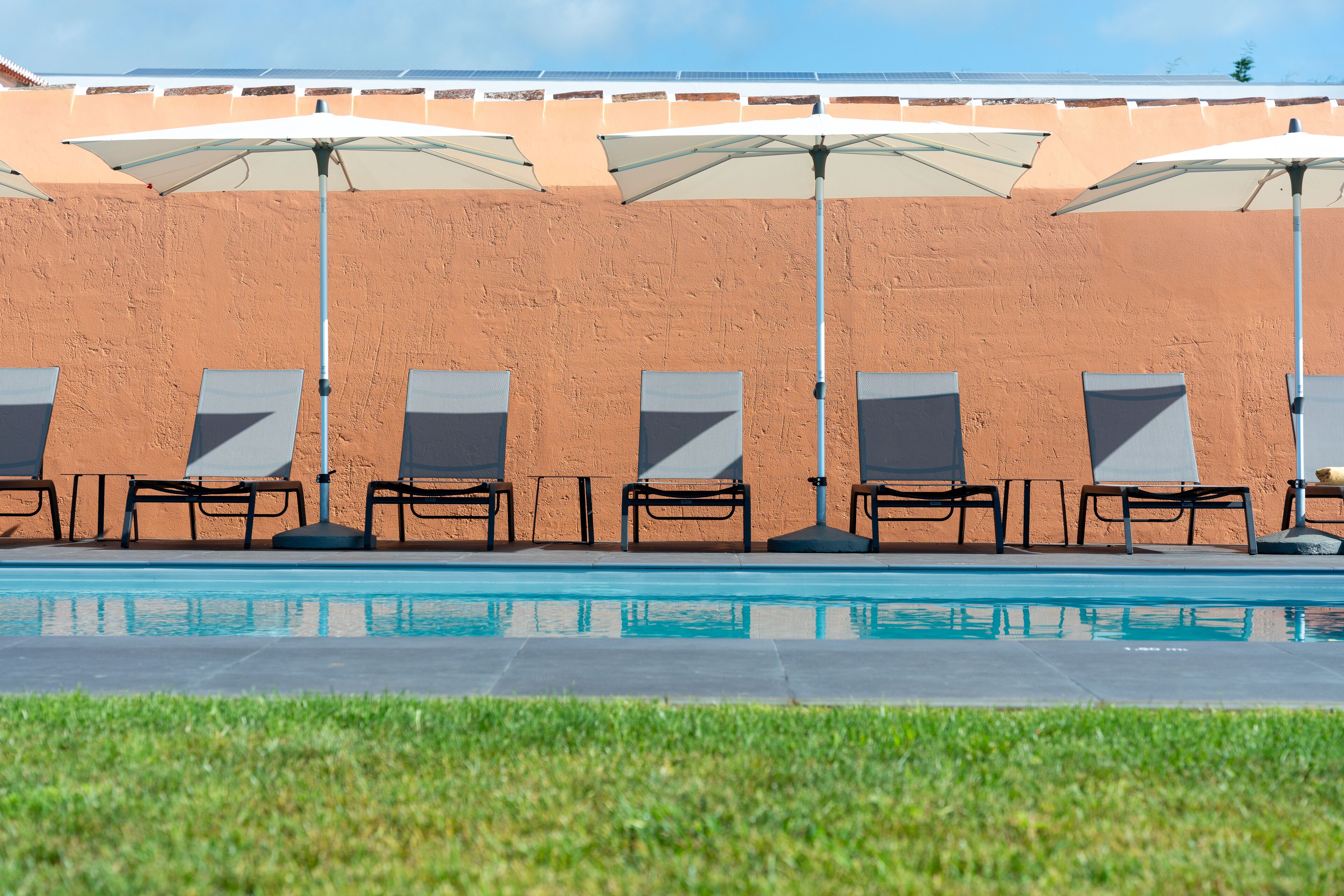A poolside area with lounge chairs and umbrellas, a clear pool, and a brick wall in the background.