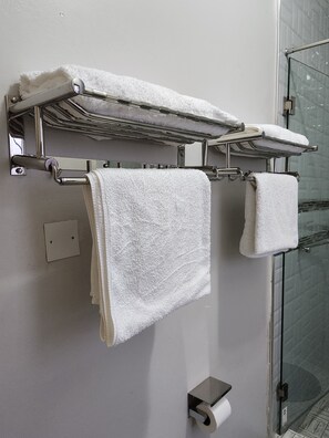 Shower, hair dryer, towels, soap - Exquisite 4bed 4.5bath Lake View Home! (Entebbe)