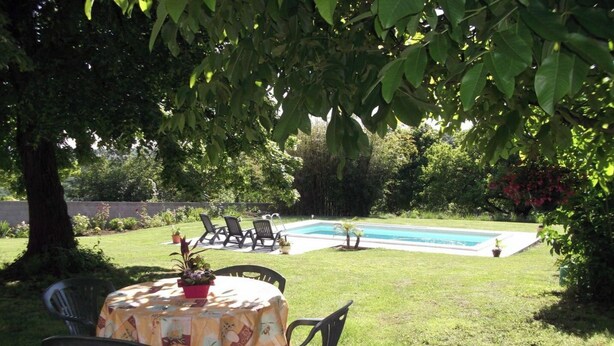 A backyard with a pool, a table with chairs, and a potted plant.