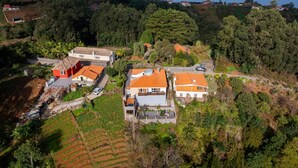Vista aérea de una zona residencial con casas, campos en terrazas y abundante vegetación.