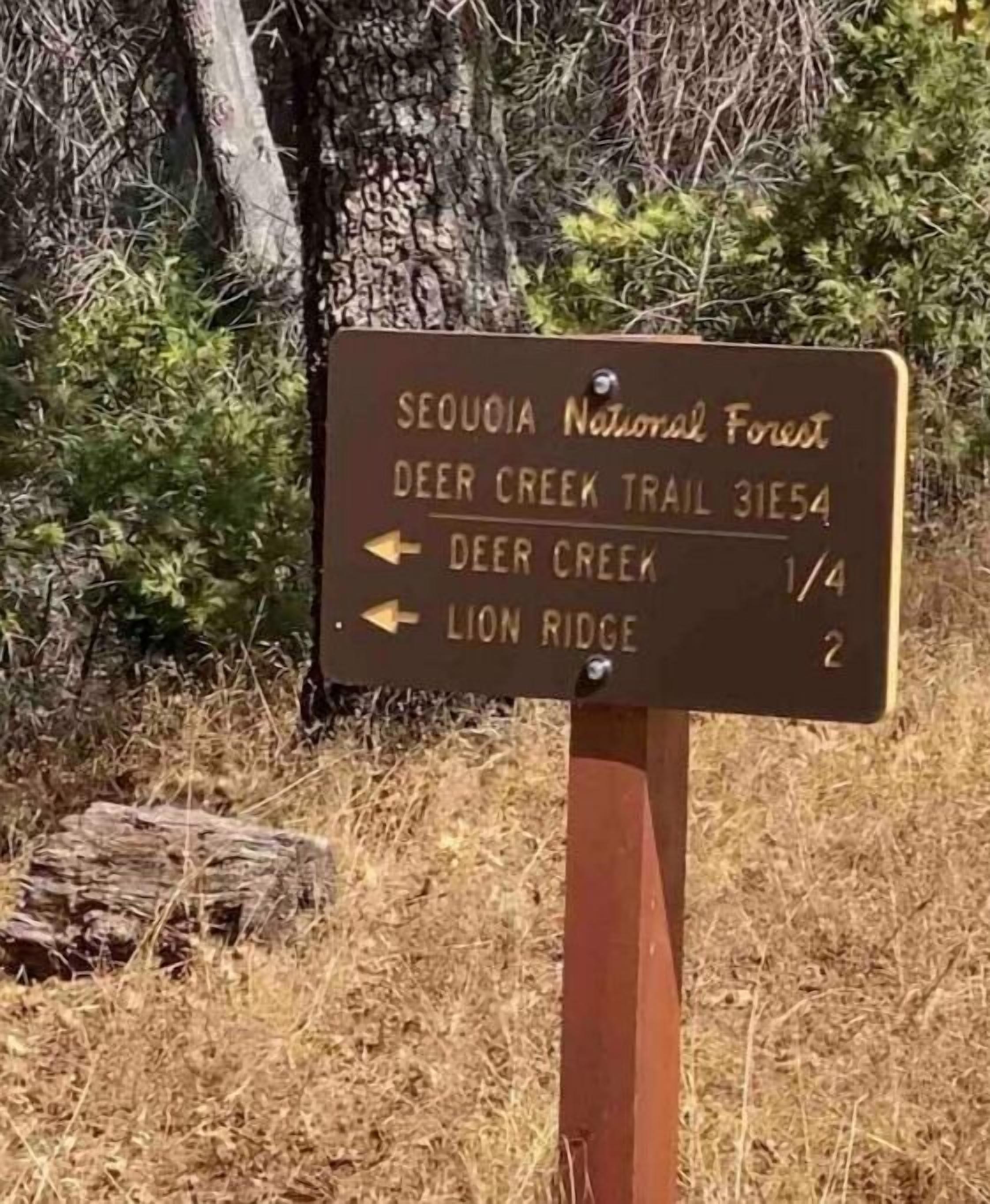Ein Wegweiser zum Sequoia-Nationalpark, der den Deer Creek Trail 31E54 und Lion Ridge anzeigt.