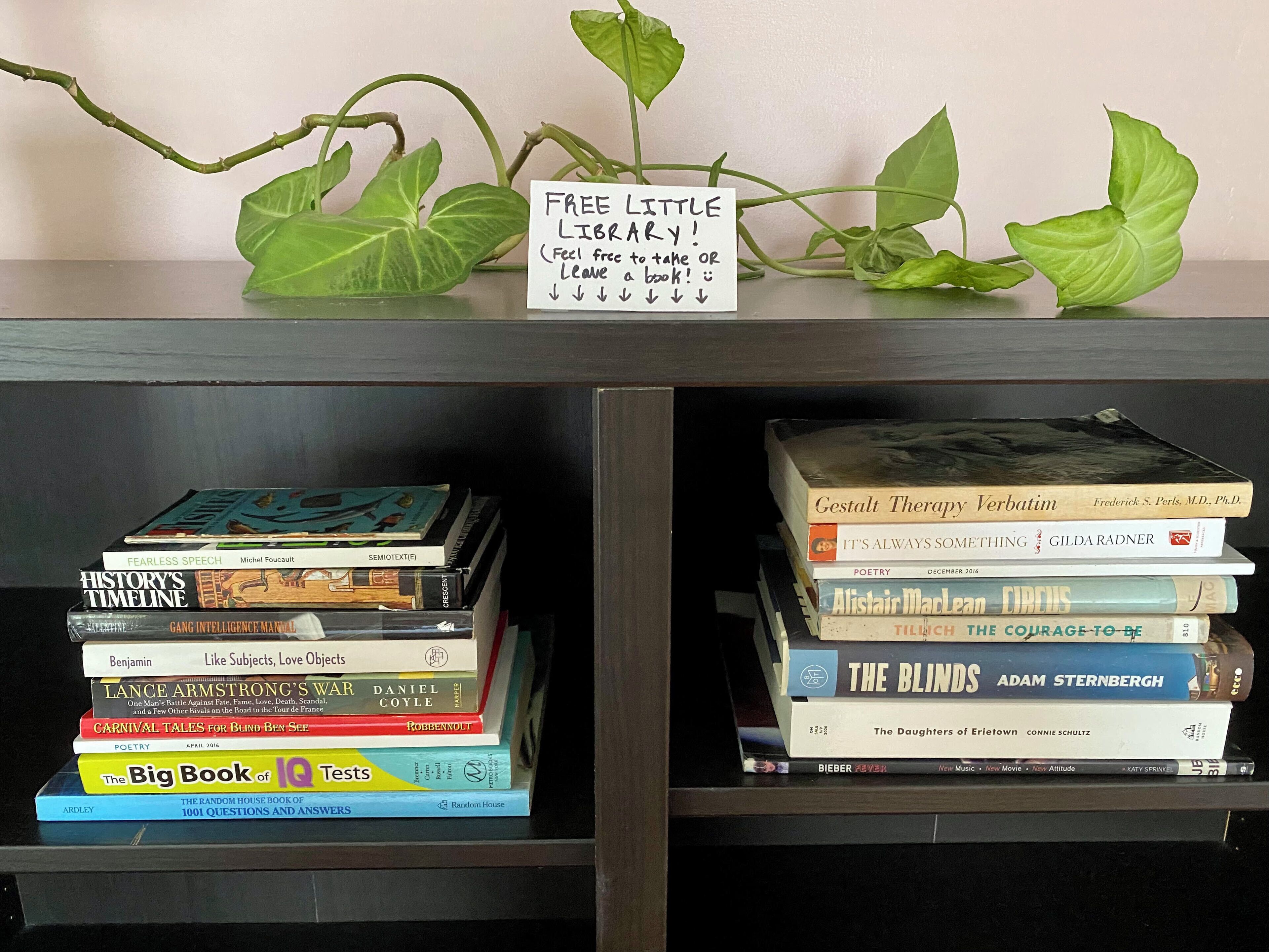 Una estantería con una variedad de libros y un cartel que dice 'FREE LITTLE LIBRARY!'.