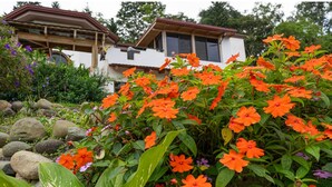 Un jardín con flores naranjas frente a una casa blanca con techo marrón.