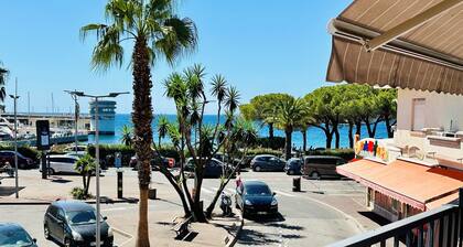 Vue mer ,à 100 m de la Plage , Beau T2 Lumineux