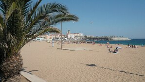 Une plage bordée de palmiers, un ciel dégagé et, au loin, une vue sur la ville.