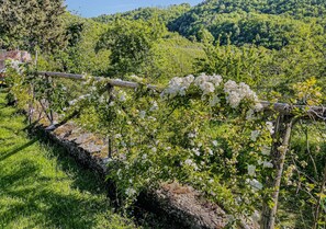Property grounds - La Chiantinelle - Suite Double (Greve in Chianti)
