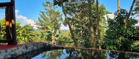 Cabaña superior, 1 cama King size y sofá cama, vista al jardín, planta baja | Terraza o patio