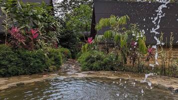 Kolam renang terbuka