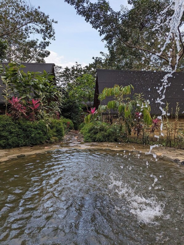 A tranquil garden with a small pond, lush greenery, and a wooden fence.